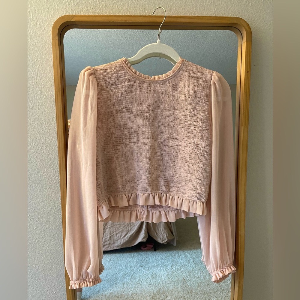 Aritzia Wilfred Pink Blouse w/ ruffles and sheer sleeves size L
